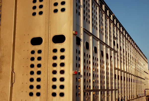 Semi Trucking — Stock Photo, Image