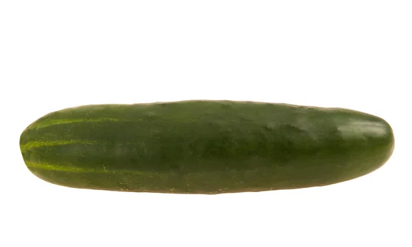 Large Cucumber — Stock Photo, Image