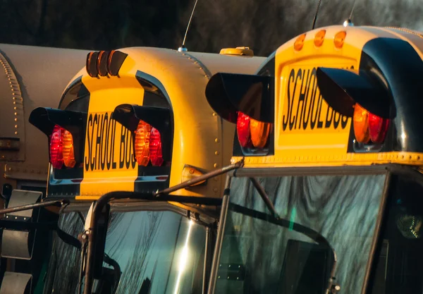 Schoolbussen — Stockfoto