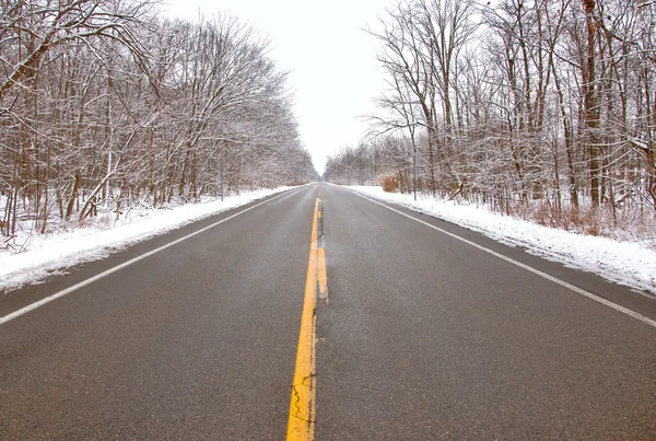 Zimy michigan drogi — Zdjęcie stockowe