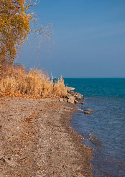 RiverFront Park — Stock Photo, Image