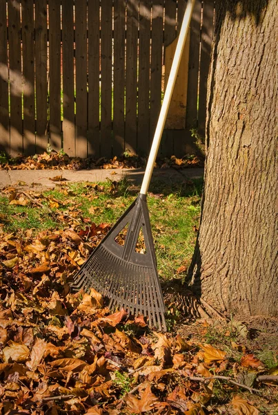 Bagging fall Leaves — Stock Photo, Image