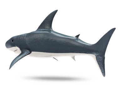 Beyaz arka plan üzerinde izole 3d köpek balığı