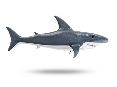 Beyaz arka plan üzerinde izole 3d köpek balığı