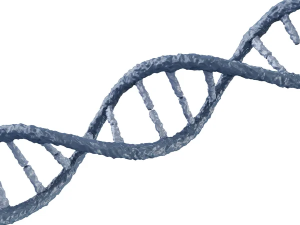 DNA op witte achtergrond — Stockfoto