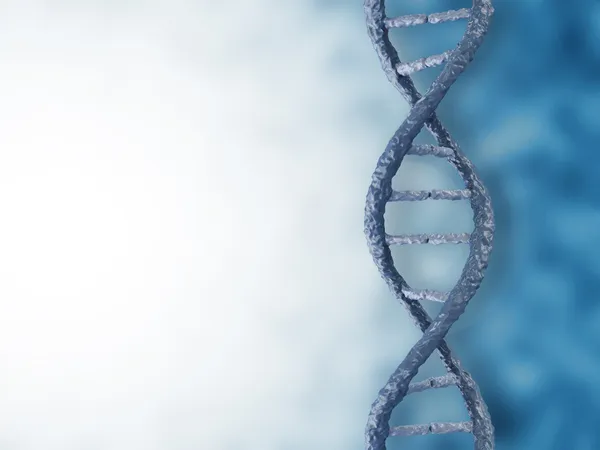 DNA su sfondo bianco — Foto Stock