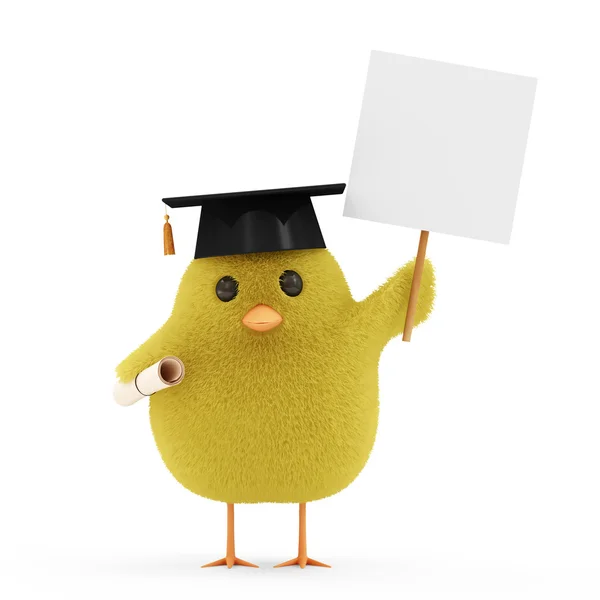 Little Chicken Student with Blank Board isolated on white background — Stock Photo, Image