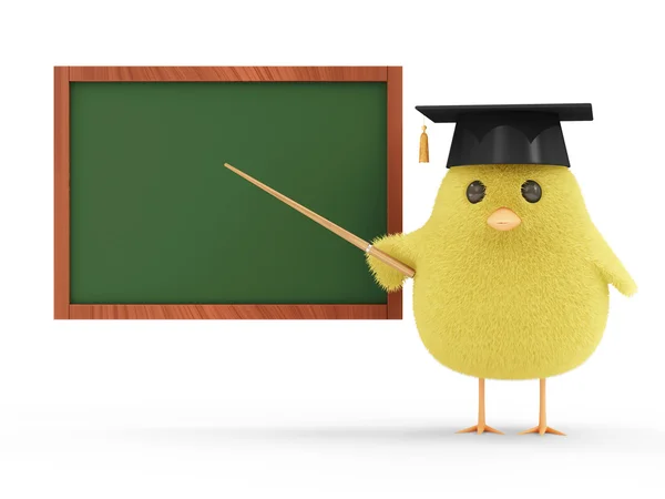 Little Chicken Teacher near Blank Chalkboard isolated on white background — Stock Photo, Image