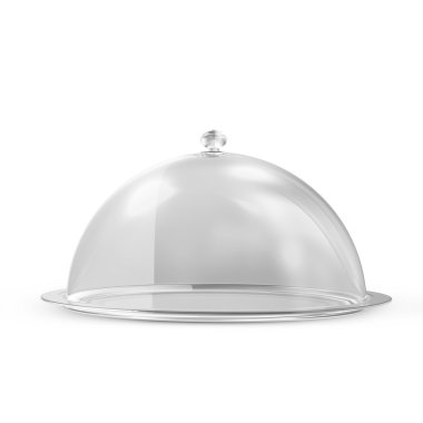 boş cam tepsi빈 유리 트레이