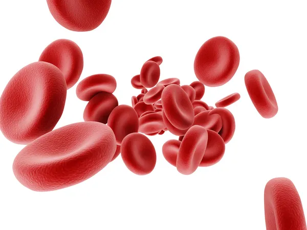 Red Blood Cells Flowing — Stock Photo, Image