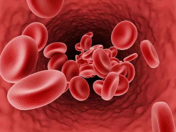 Ερυθρά αιμοσφαίρια — Φωτογραφία Αρχείου