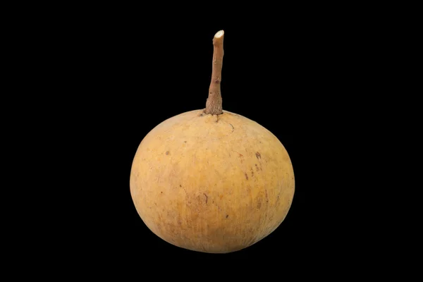 Santol frukt isolerad på svart bakgrund — Stockfoto