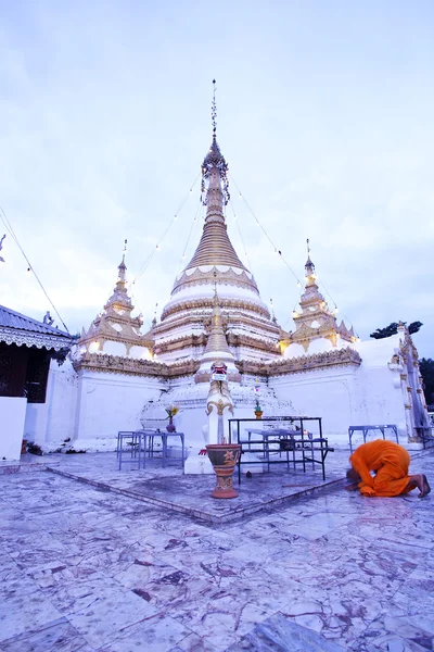 monk ile beyaz pagoda