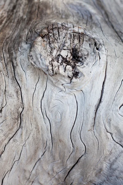 Gammel træ tekstur - Stock-foto