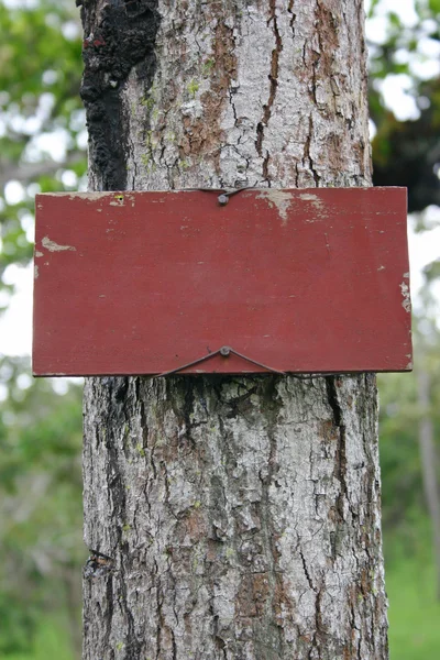 Segno di legno bianco su albero — Foto Stock
