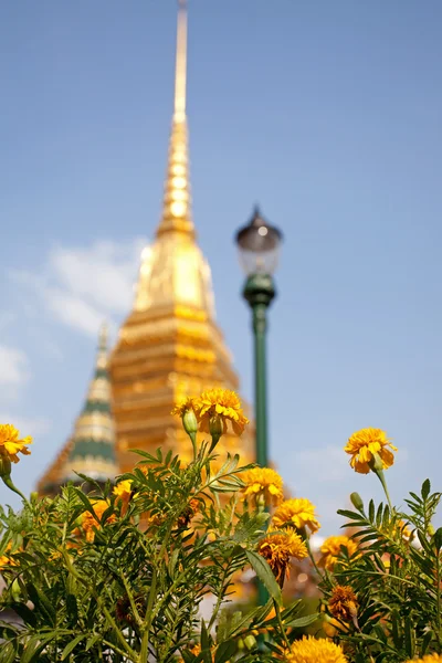 Flor com Pagode Dourado — Fotografia de Stock