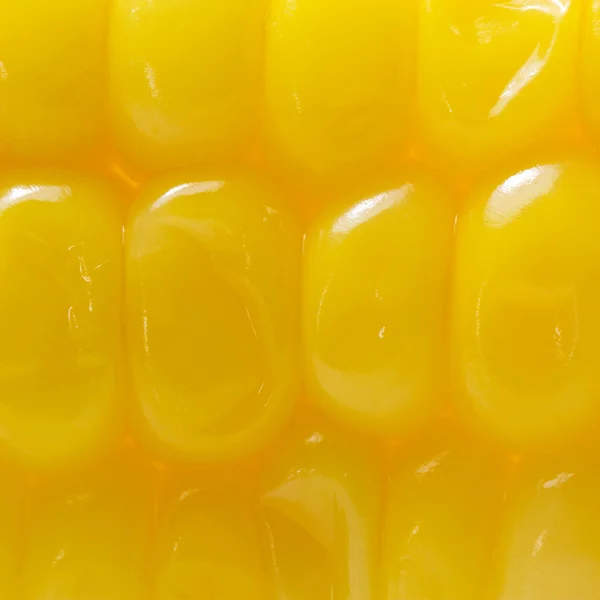 Sweet corn background — Stock Photo, Image