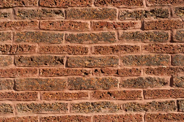 Rode bakstenen muur — Stockfoto