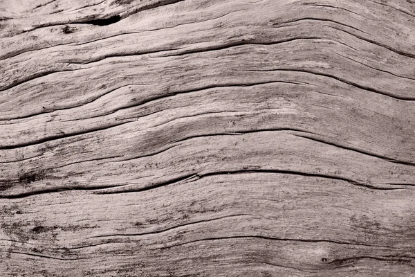 Textura de madera abstracta — Foto de Stock