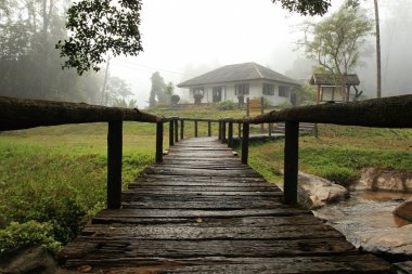 patika orman ile ev için