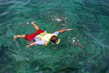 bir adam tropikal gölünde snorkeling