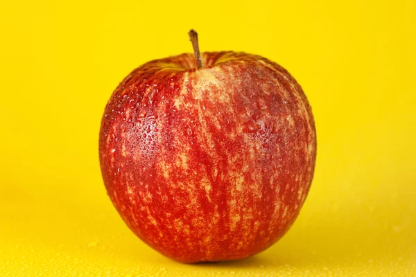 Roter Apfel — Stockfoto