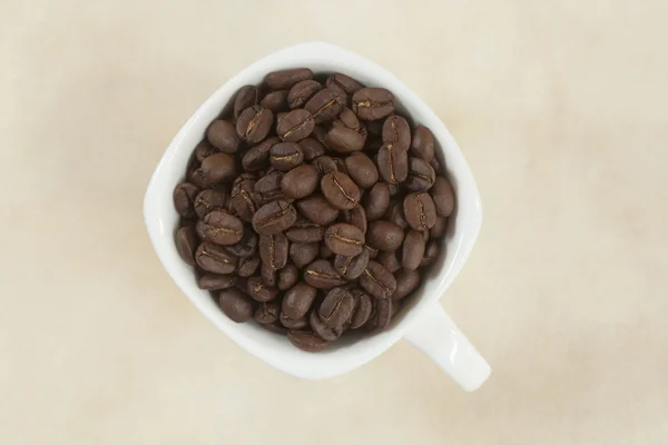 Kaffebönor i en kopp — Stockfoto