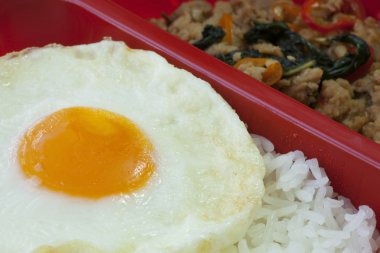 kızarmış tavuk ve yumurta kızarmış fesleğen