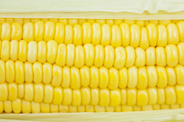 Fresh corn cobs — Stock Photo, Image