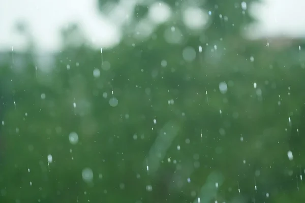 Regen met groene achtergrond — Stockfoto