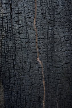 Yanmış ahşap dokusu