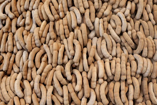 Söta tamarind — Stockfoto