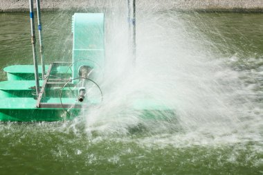 Aerator