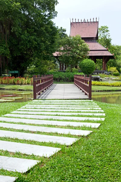 Giardino tropicale in estate — Foto Stock