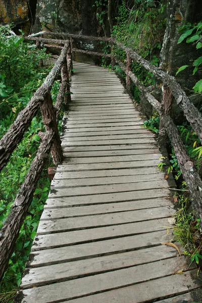 Sendero para caminar para aprender la naturaleza en el bosque tropical —  Fotos de Stock