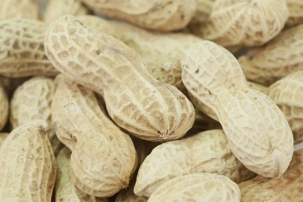 kurutulmuş portre fıstık