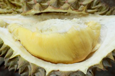 Sarı durian
