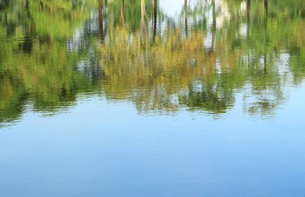 Hullámzó vízfelületen tükröződő fák — Stock Fotó