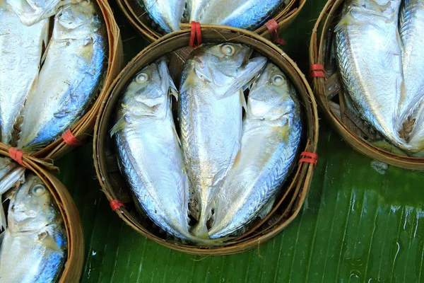 Makreel vissen in bamboe mand op markt, thailand — Stockfoto