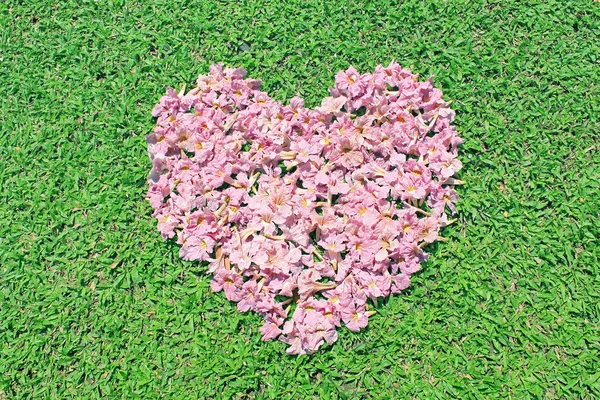 Pink flowers heart over green grass — Stock Photo, Image