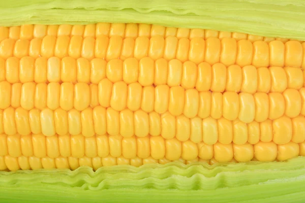 Grains of ripe corn — Stock Photo, Image
