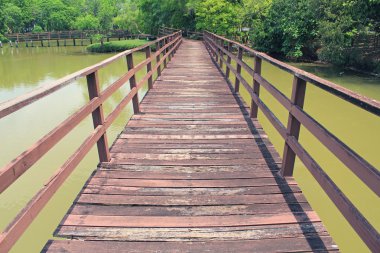 tropikal orman doğada öğrenmek için yürüyüş için iz