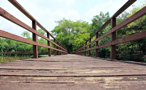 Trail voor lopen om te leren van de natuur in tropisch woud — Stockfoto
