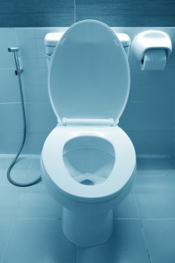 umumi tuvalet