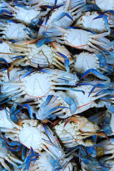 Pilha de caranguejo azul fresco na Tailândia — Fotografia de Stock