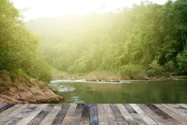 Foresta tropicale sopra un pavimento di legno — Foto Stock