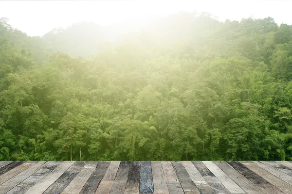 Floresta tropical acima de um chão de madeira — Fotografia de Stock