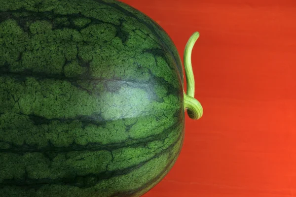 Close-up van watermeloen — Stockfoto