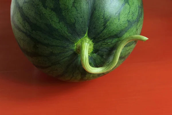 Primer plano de la sandía — Foto de Stock