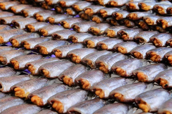 Peixes secos, Tailândia — Fotografia de Stock